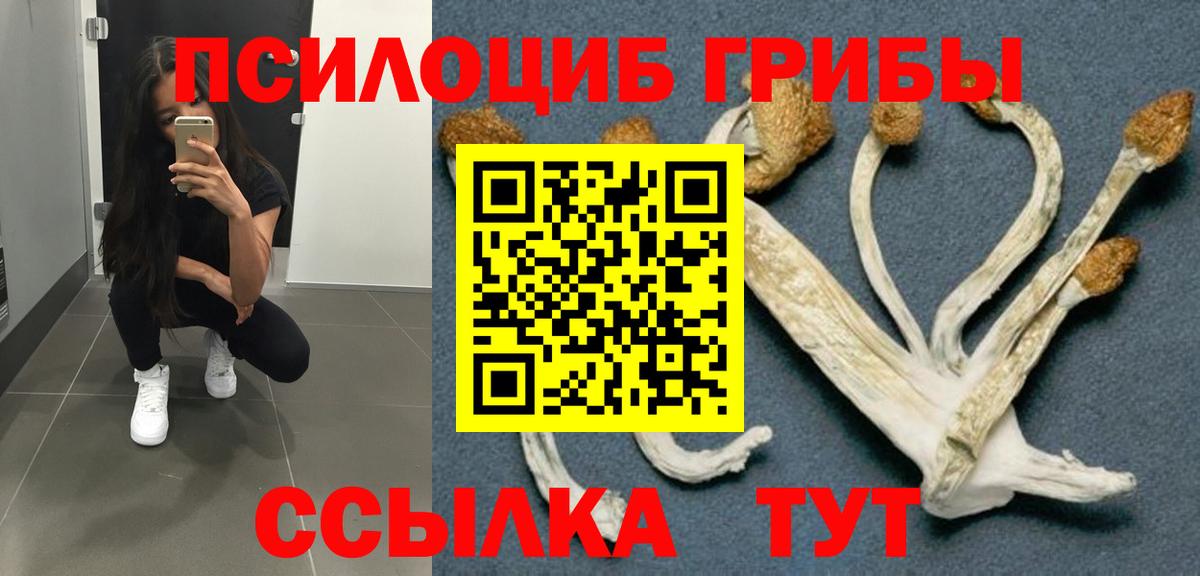 Псилоцибиновые грибы MAGIC MUSHROOMS  купить наркоту  Черкесск  Вход с VPN 
