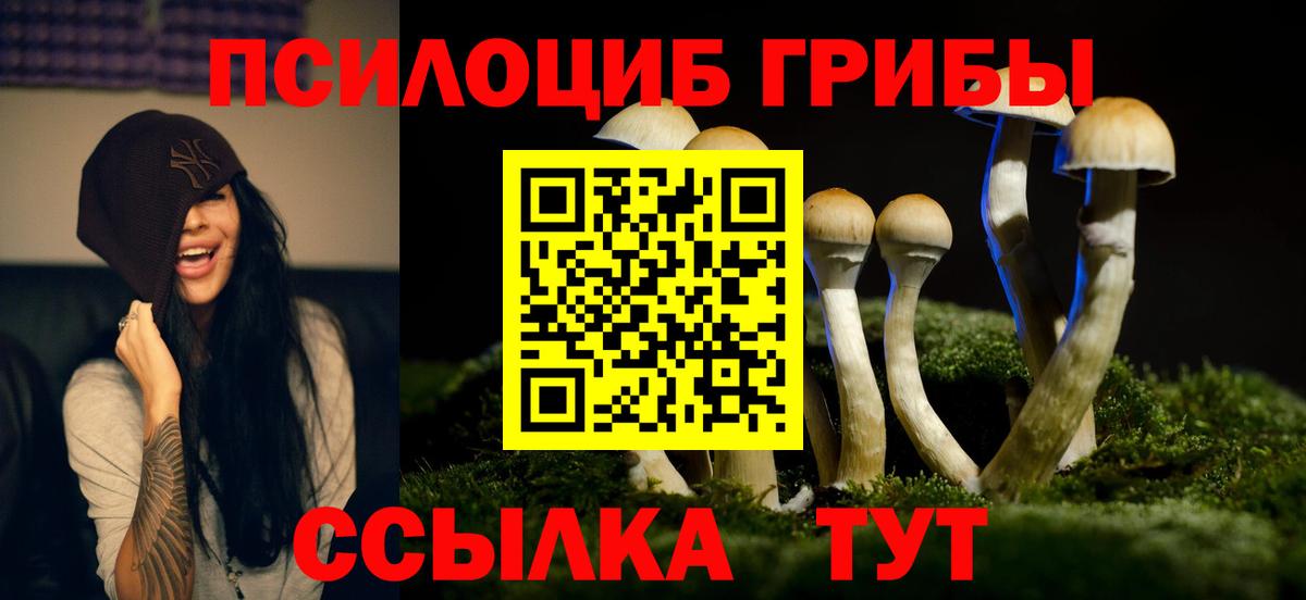 Псилоцибиновые грибы Psilocybine cubensis Черкесск
